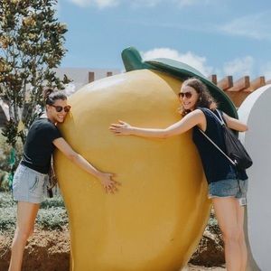 Meet your Posher, Amelia